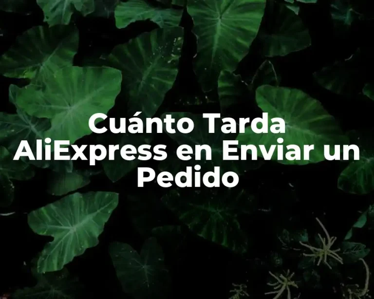 Cuánto Tarda AliExpress en Enviar un Pedido