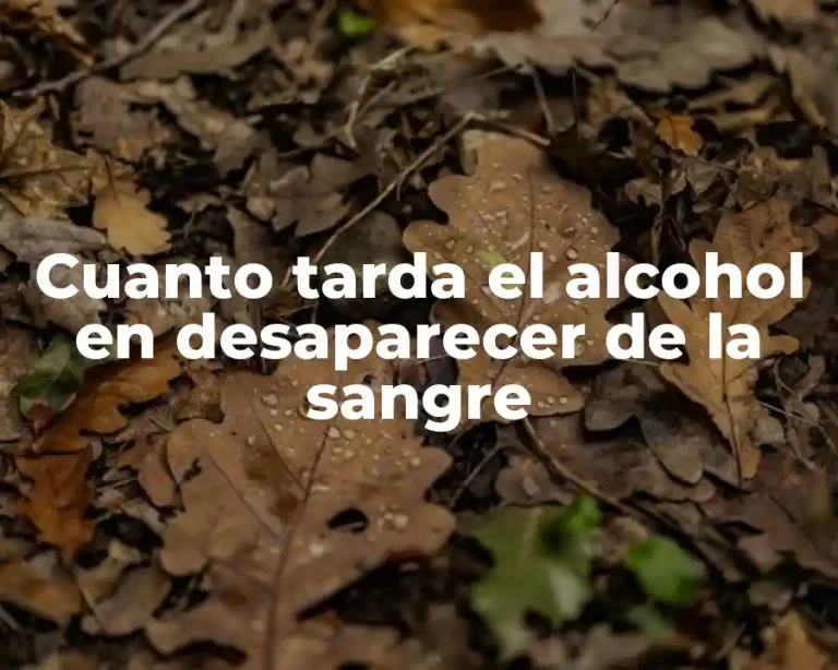 Cuanto tarda el alcohol en desaparecer de la sangre
