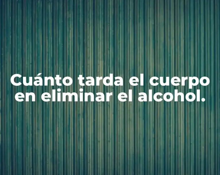 Cuánto tarda el cuerpo en eliminar el alcohol.