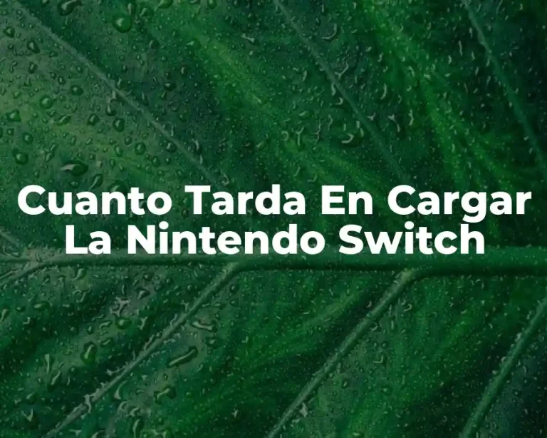 Cuanto Tarda En Cargar La Nintendo Switch