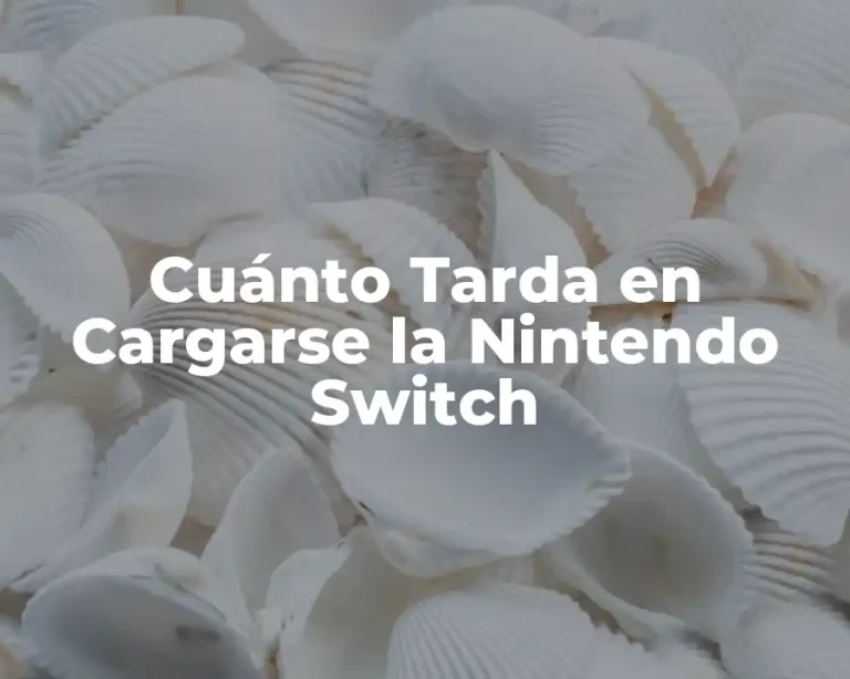 Cuánto Tarda en Cargarse la Nintendo Switch