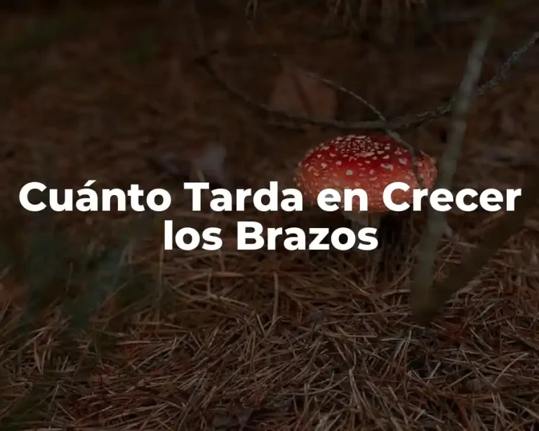 Cuánto Tarda en Crecer los Brazos
