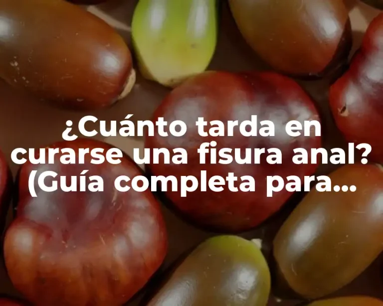 ¿Cuánto tarda en curarse una fisura anal? (Guía completa para una recuperación exitosa)