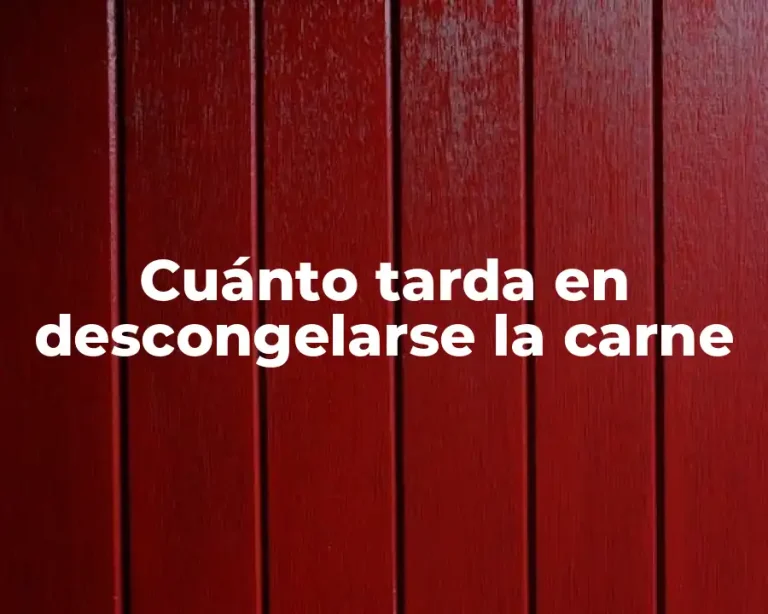 Cuánto tarda en descongelarse la carne