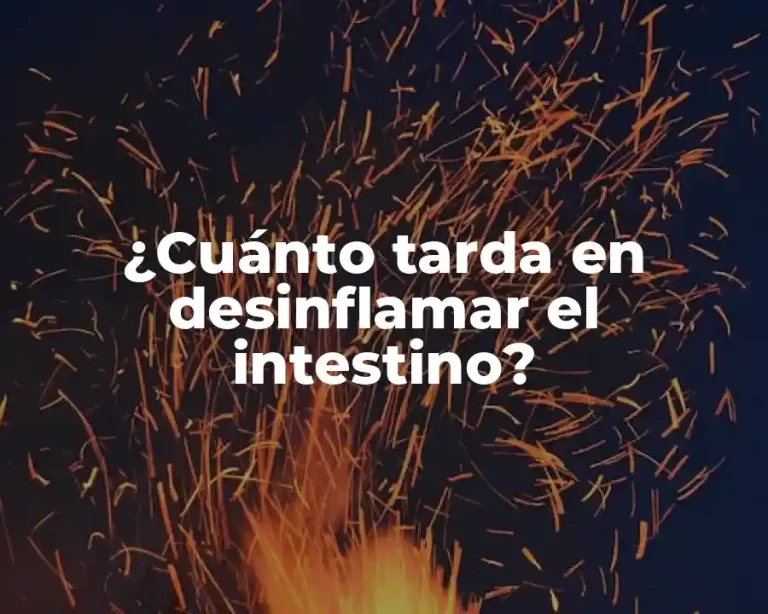 ¿Cuánto tarda en desinflamar el intestino?