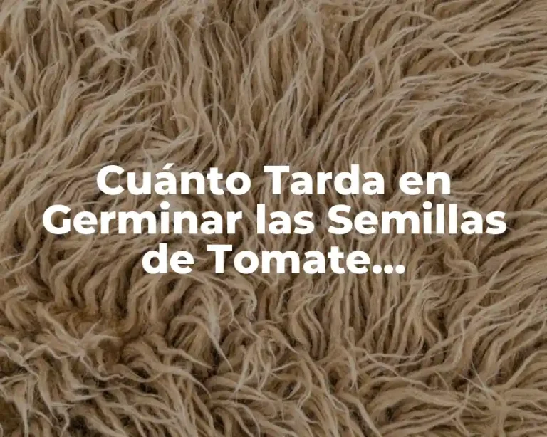 Cuánto Tarda en Germinar las Semillas de Tomate Exactamente