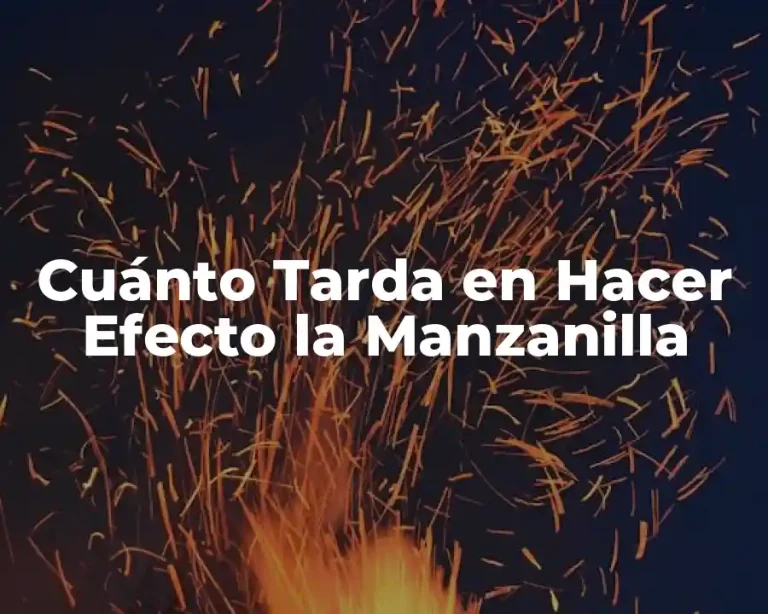 Cuánto Tarda en Hacer Efecto la Manzanilla