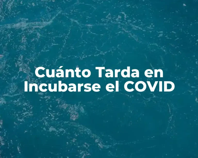 Cuánto Tarda en Incubarse el COVID