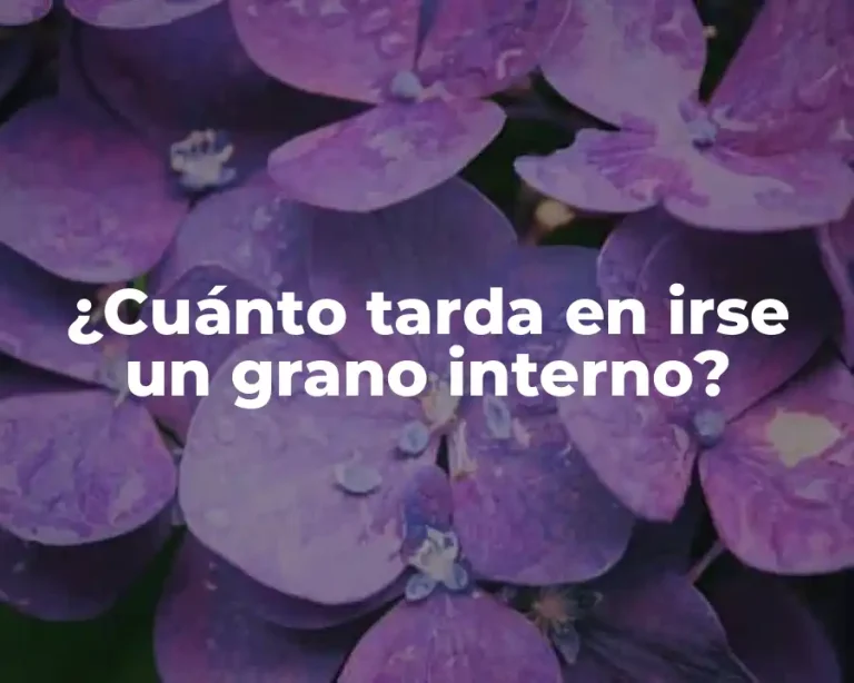 ¿Cuánto tarda en irse un grano interno?