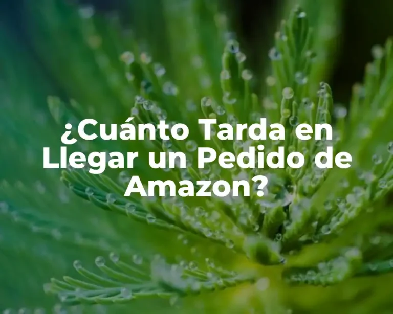 ¿Cuánto Tarda en Llegar un Pedido de Amazon?