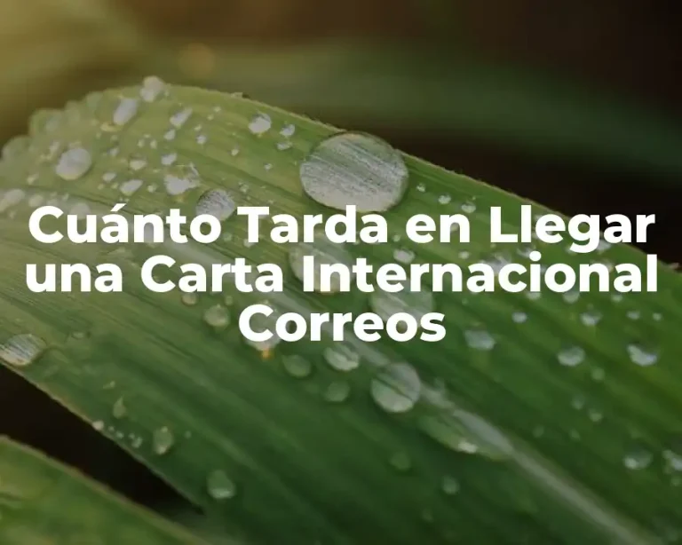 Cuánto Tarda en Llegar una Carta Internacional Correos