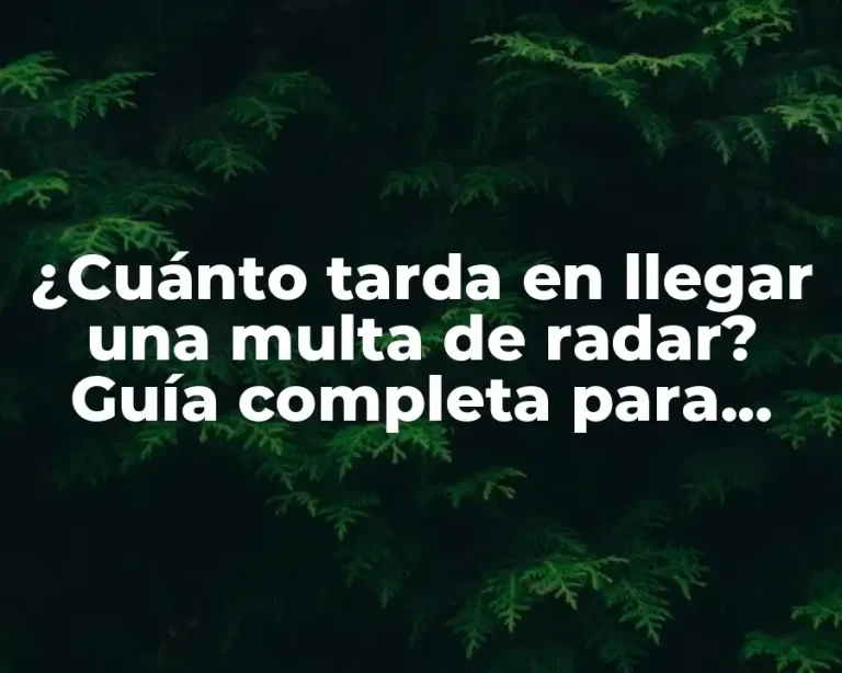¿Cuánto tarda en llegar una multa de radar? Guía completa para saber qué esperar