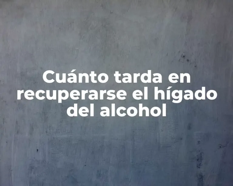 Cuánto tarda en recuperarse el hígado del alcohol