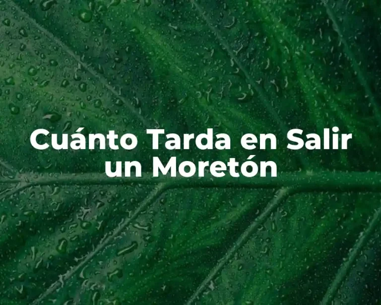 Cuánto Tarda en Salir un Moretón