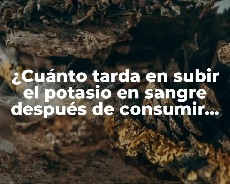 ¿Cuánto tarda en subir el potasio en sangre después de consumir alimentos ricos en potasio?