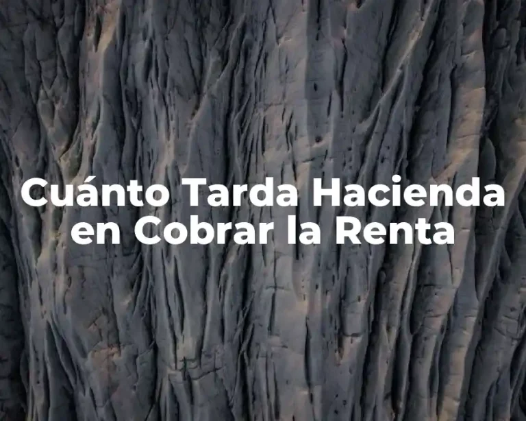 Cuánto Tarda Hacienda en Cobrar la Renta