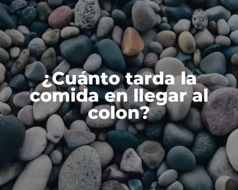 ¿Cuánto tarda la comida en llegar al colon?