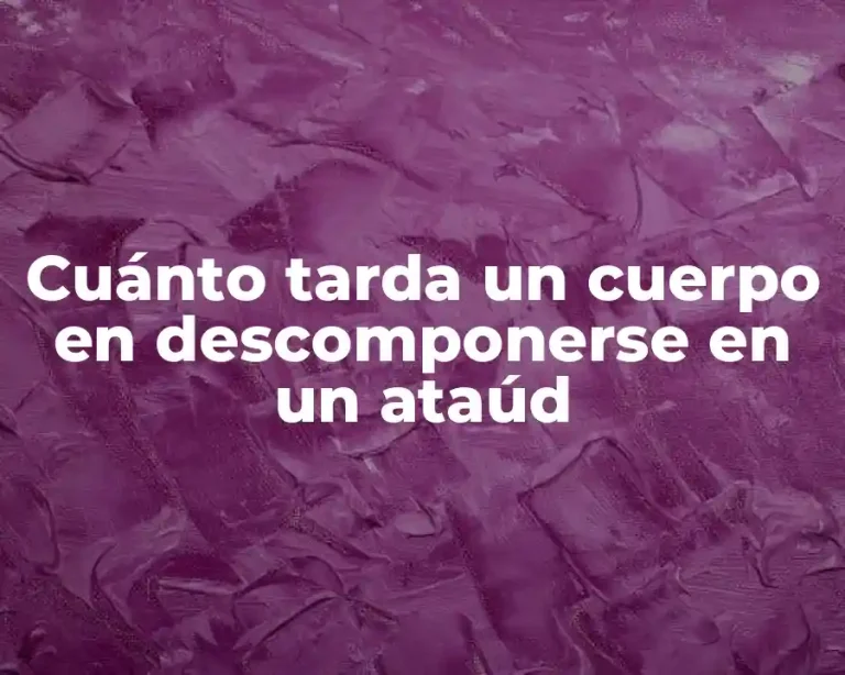 Cuánto tarda un cuerpo en descomponerse en un ataúd