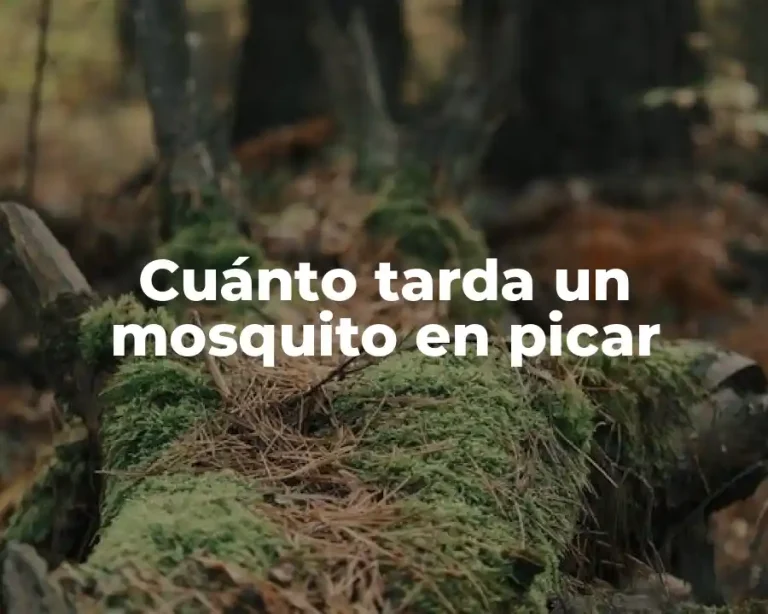 Cuánto tarda un mosquito en picar