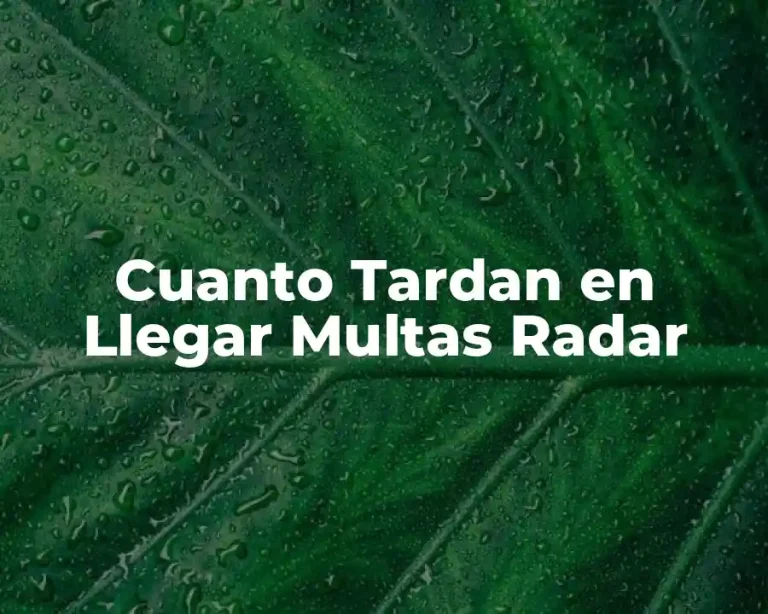 Cuanto Tardan en Llegar Multas Radar