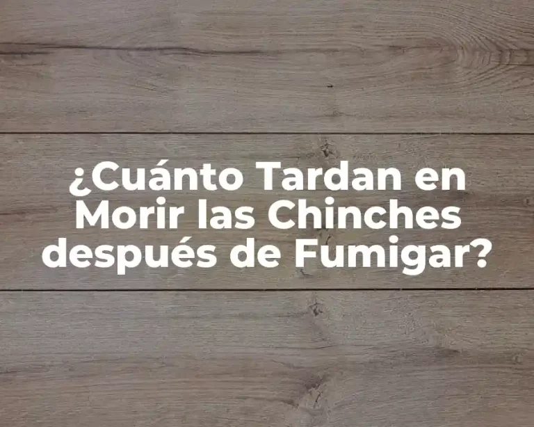 ¿Cuánto Tardan en Morir las Chinches después de Fumigar?