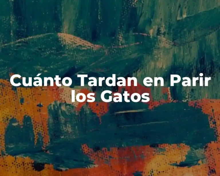 Cuánto Tardan en Parir los Gatos