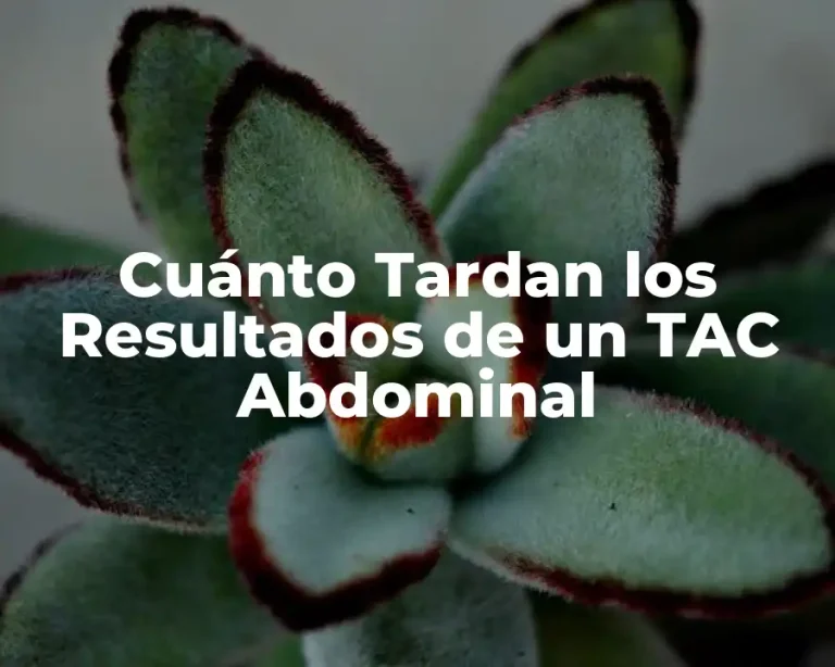 Cuánto Tardan los Resultados de un TAC Abdominal