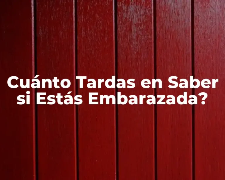 Cuánto Tardas en Saber si Estás Embarazada?