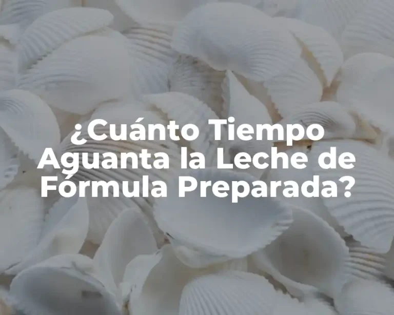 ¿Cuánto Tiempo Aguanta la Leche de Fórmula Preparada?