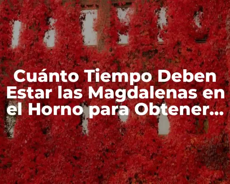 Cuánto Tiempo Deben Estar las Magdalenas en el Horno para Obtener el Resultado Perfecto