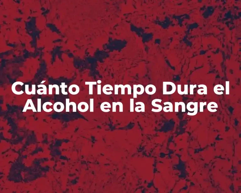 Cuánto Tiempo Dura el Alcohol en la Sangre