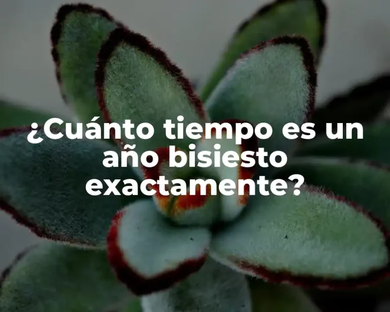 ¿Cuánto tiempo es un año bisiesto exactamente?