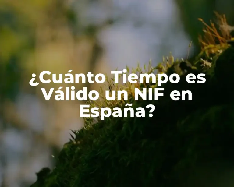 ¿Cuánto Tiempo es Válido un NIF en España?