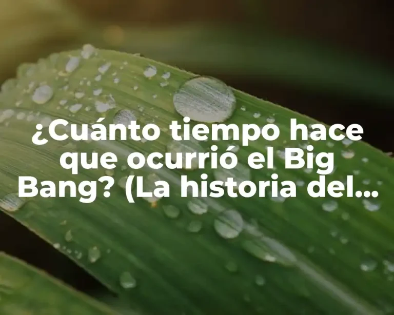 ¿Cuánto tiempo hace que ocurrió el Big Bang? (La historia del origen del universo)