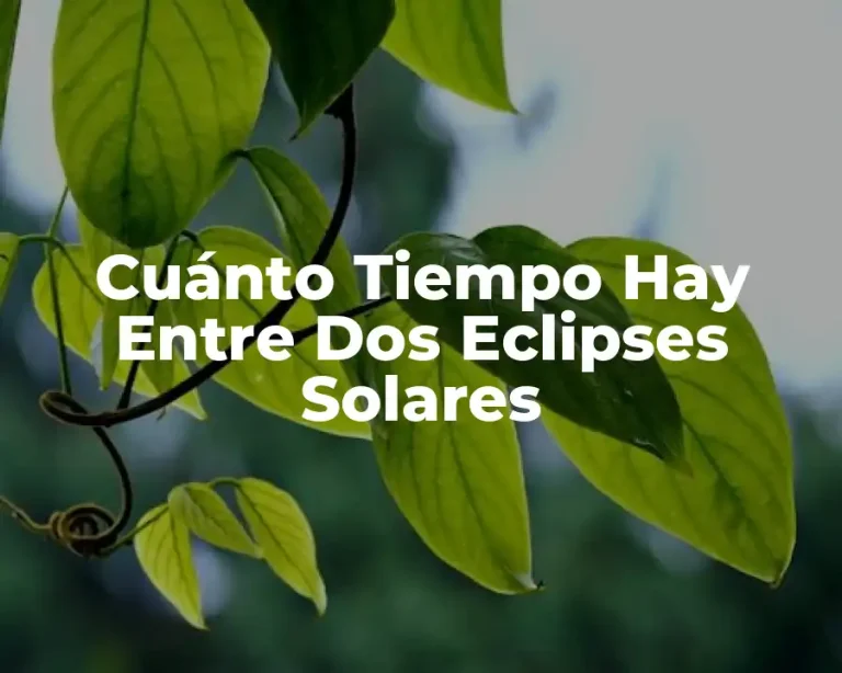 Cuánto Tiempo Hay Entre Dos Eclipses Solares