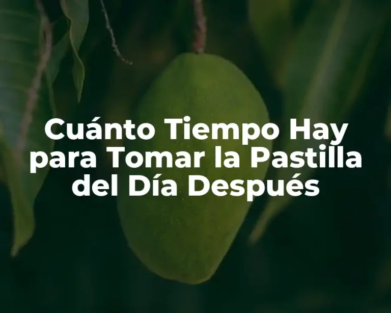 Cuánto Tiempo Hay para Tomar la Pastilla del Día Después