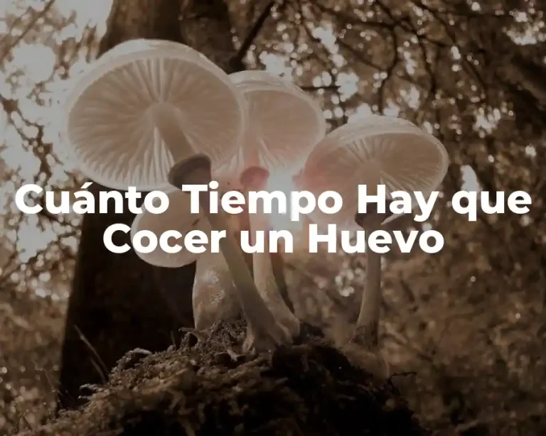 Cuánto Tiempo Hay que Cocer un Huevo