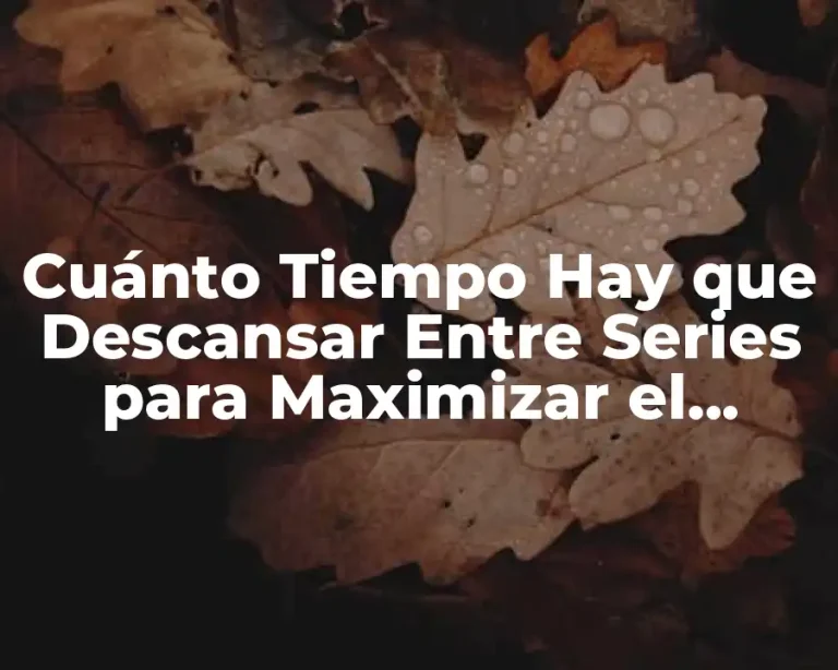 Cuánto Tiempo Hay que Descansar Entre Series para Maximizar el Entrenamiento