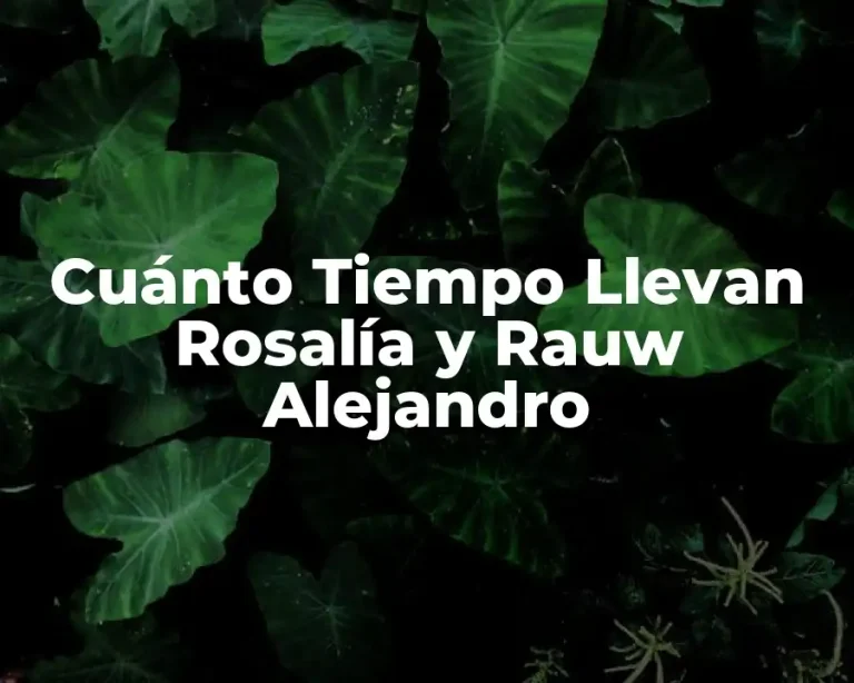 Cuánto Tiempo Llevan Rosalía y Rauw Alejandro