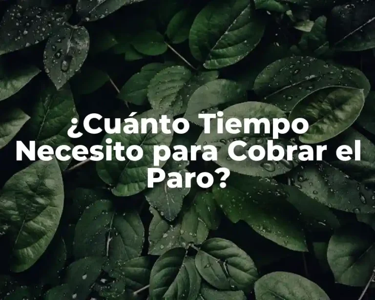 ¿Cuánto Tiempo Necesito para Cobrar el Paro?