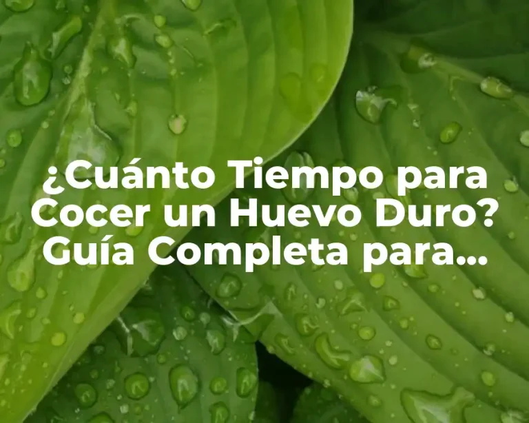 ¿Cuánto Tiempo para Cocer un Huevo Duro? Guía Completa para Cocinar Huevos Perfectos