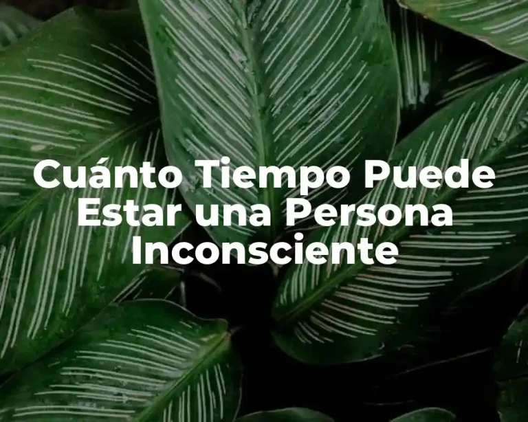 Cuánto Tiempo Puede Estar una Persona Inconsciente