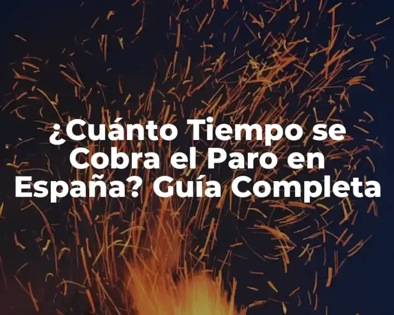 ¿Cuánto Tiempo se Cobra el Paro en España? Guía Completa