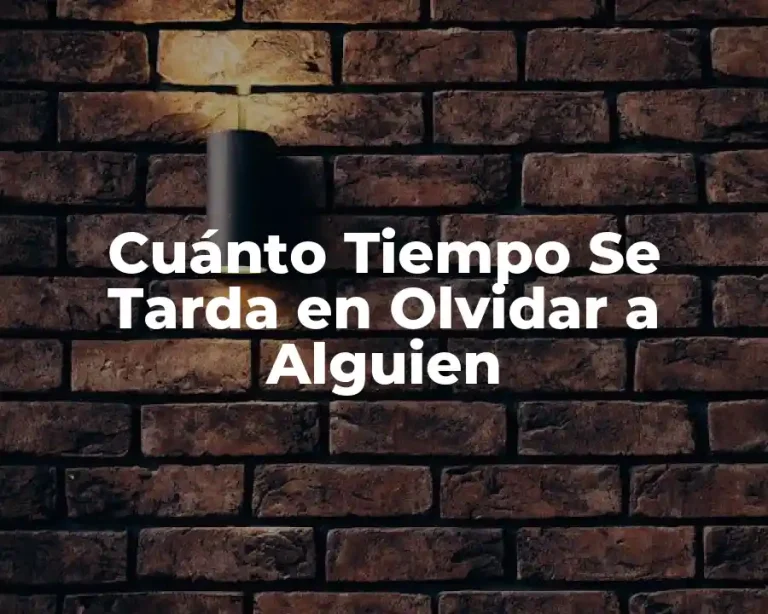 Cuánto Tiempo Se Tarda en Olvidar a Alguien