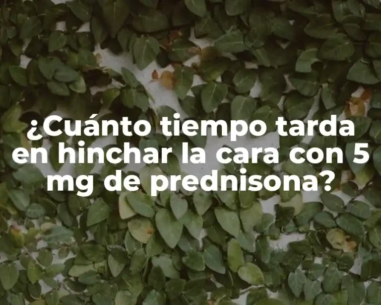 ¿Cuánto tiempo tarda en hinchar la cara con 5 mg de prednisona?