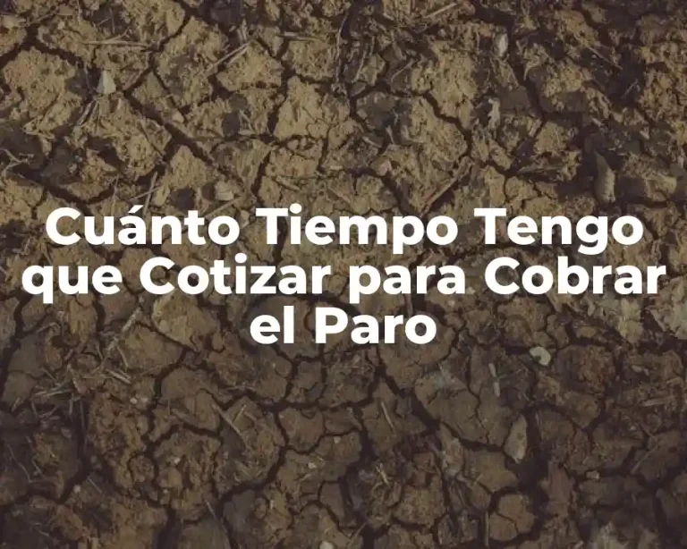 Cuánto Tiempo Tengo que Cotizar para Cobrar el Paro