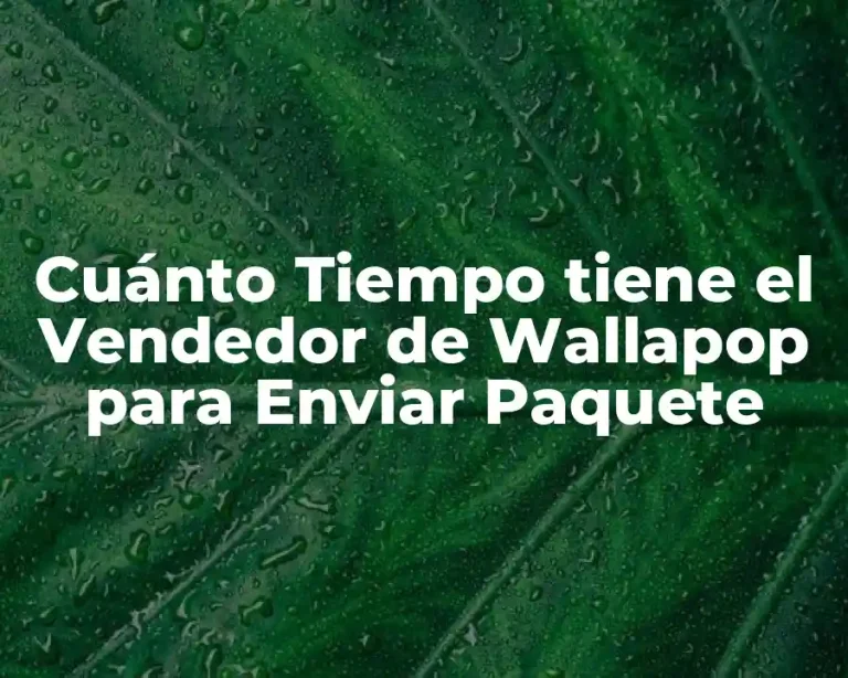 Cuánto Tiempo tiene el Vendedor de Wallapop para Enviar Paquete