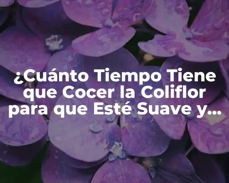 ¿Cuánto Tiempo Tiene que Cocer la Coliflor para que Esté Suave y Deliciosa?