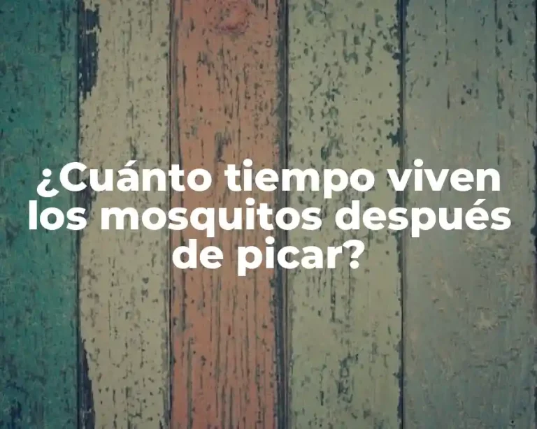 ¿Cuánto tiempo viven los mosquitos después de picar?