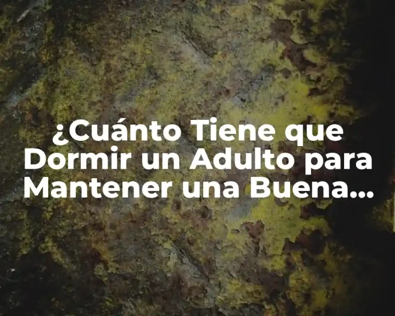 ¿Cuánto Tiene que Dormir un Adulto para Mantener una Buena Salud?